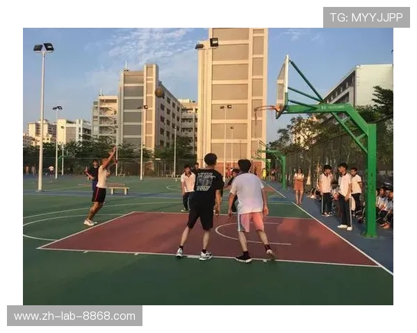篮球魅力无限:深入解析上海篮球队的战术与技术创新之路 篮球魅力无限:深入解析上海篮球队的战术与技术创新之路